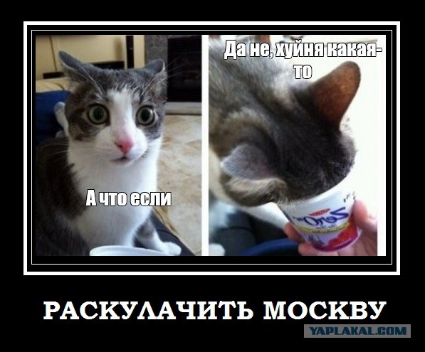 Таксистов и нянечек прижмет ФНС