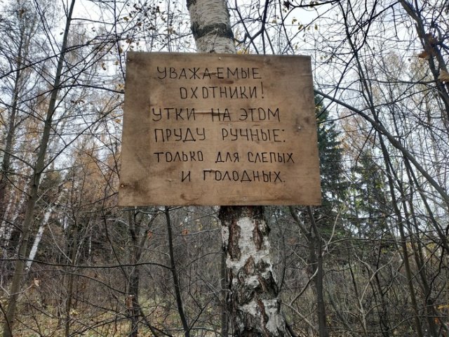 Нестандартный юмор