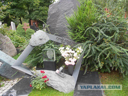 Новодевичье