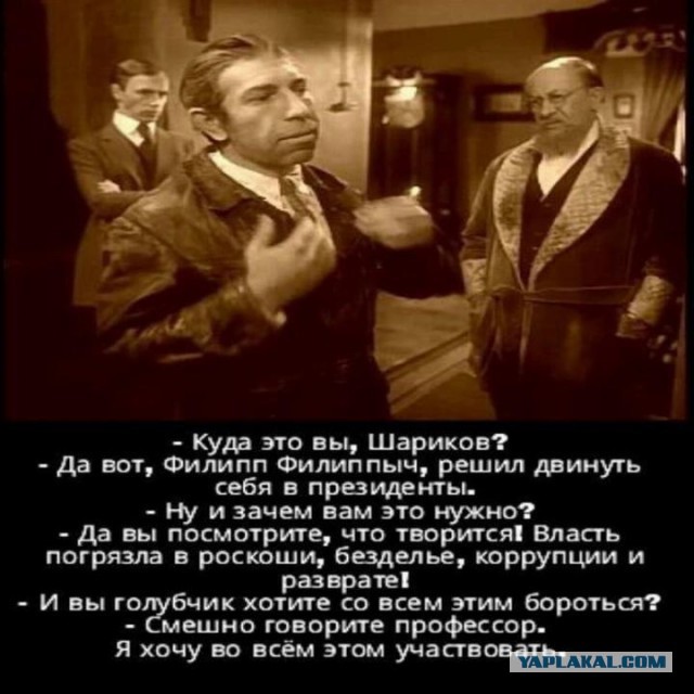 Подборка интересных и веселых картинок 08.02.19