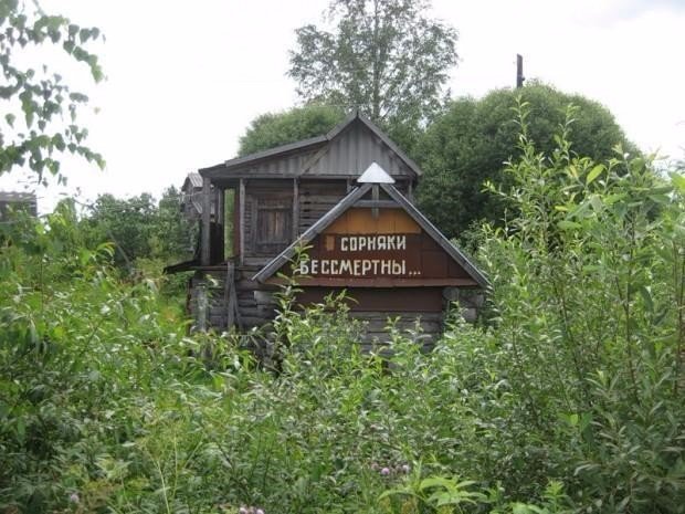 Прикольные надписи и объявления