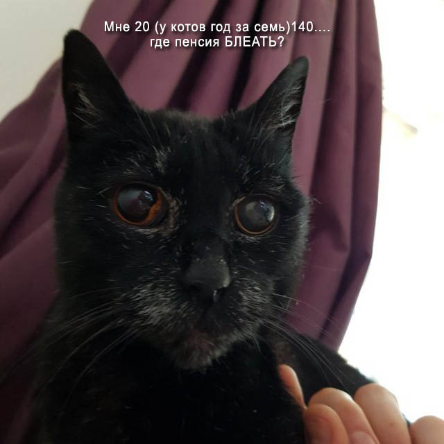 Мне 21 год