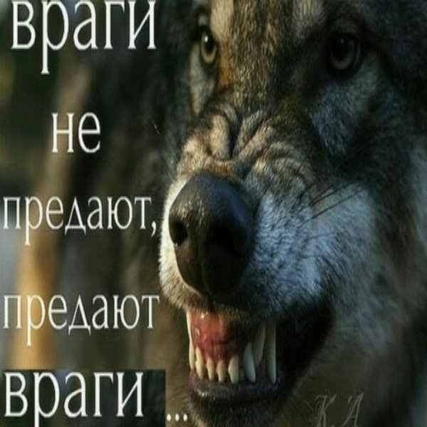 Прикольные картинки абавсём