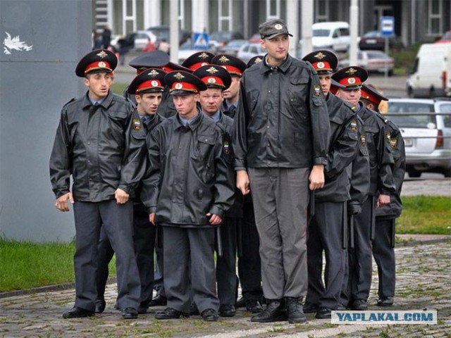 Полковник Баранов показал, кто в Петербурге хозяин: не договорившись с диаспорами, 300 полицейских вышли на охоту в две смены