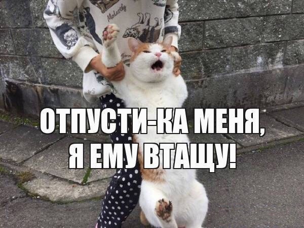 Талисман России