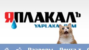 Помогите вернуть кота! Приют "Преданное сердце" украл кота и не отдает!