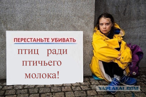 Картинки с надписями, истории и анекдоты 21.11.19