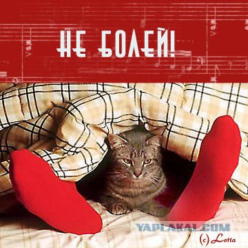 Самые дорогие медикаменты