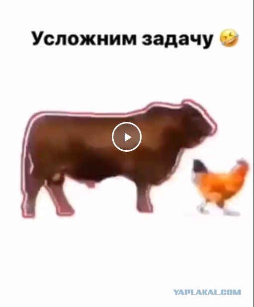 Усложним задачу по ловле курицы