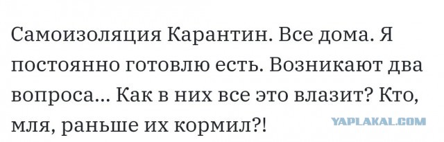 Подборка интересных и веселых картинок 18.04.20
