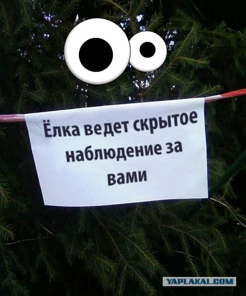 ёлки идем резать?