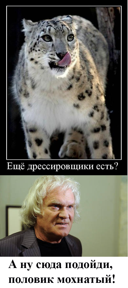 Бредзона 07.07.2020