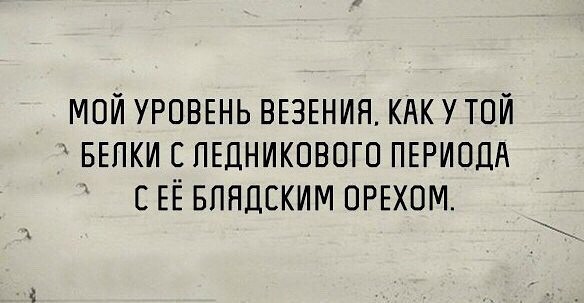 Фотки и картинки: юморные и красивые, забавные и милые