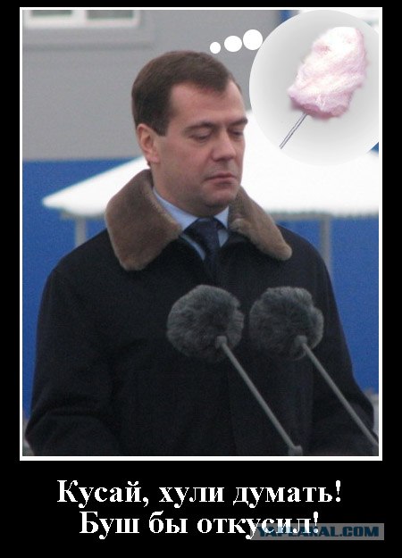 Фотожаба: Кто мои бубончики оторвал?!