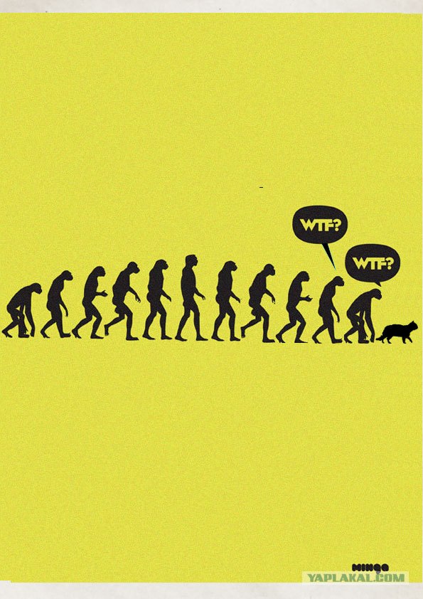 Фотожаба: WTF?