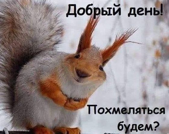 Прикольные и просто красивые картинки 05.11.2020