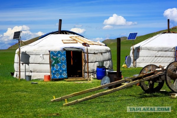 Монгольский холодильник, модель 2020/2021