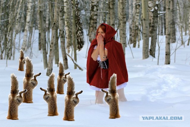 Фотожаба: "Заплутала"