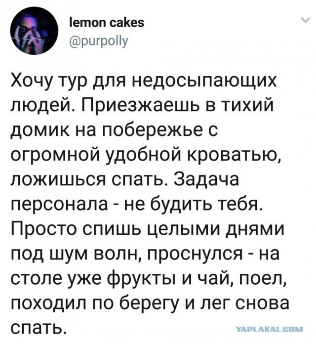 Воскресные кретинизмы из сети 07.02.21