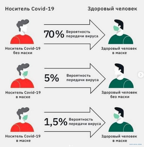 У вирусов есть сознание? Что известно науке об их удивительном поведении