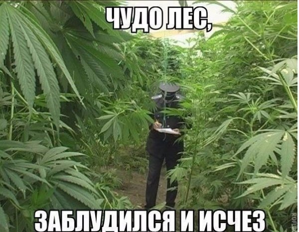 Прикольные и просто красивые картинки 30.05.21