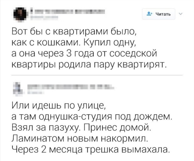 Картинки и мемы для настроения 2021.09.07