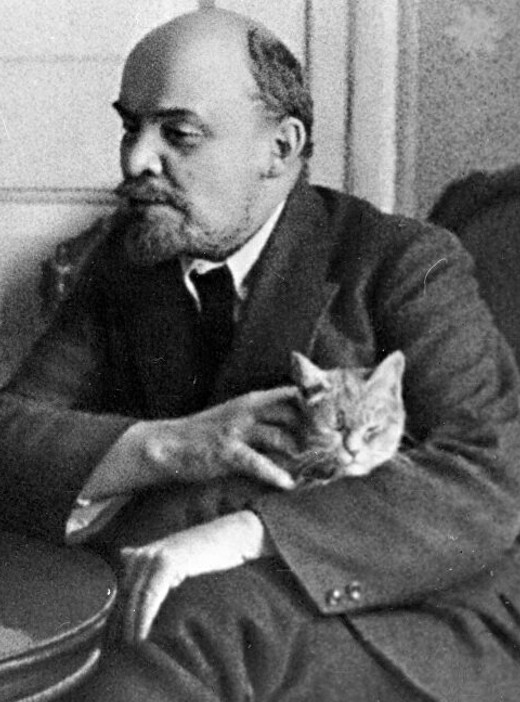 Топ громких расправ над живодёрами