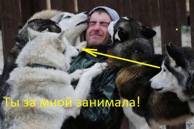 Картинки и мемы для настроения 02.02.2022