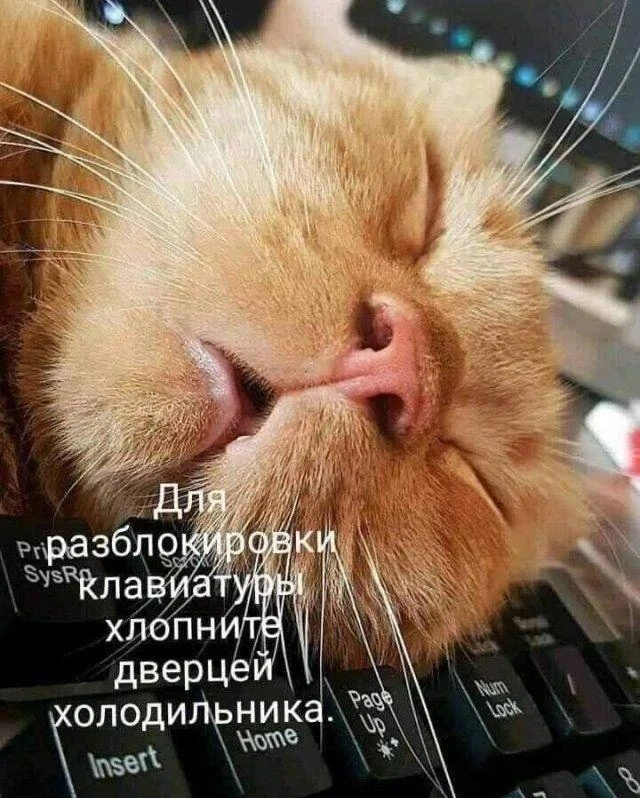 Немного картинок и прочей хреноты Vol. 2