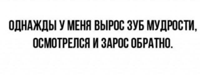 Так себе картинки 17.04.22