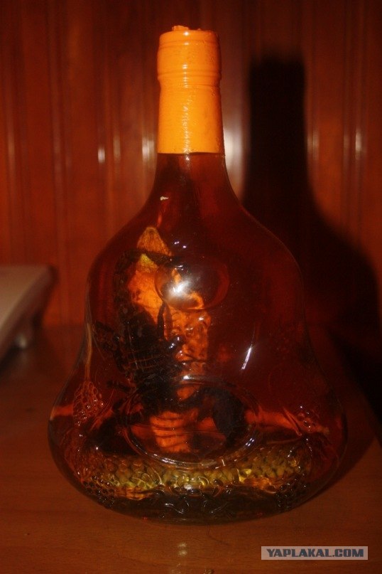 Вьетнам июнь 2011