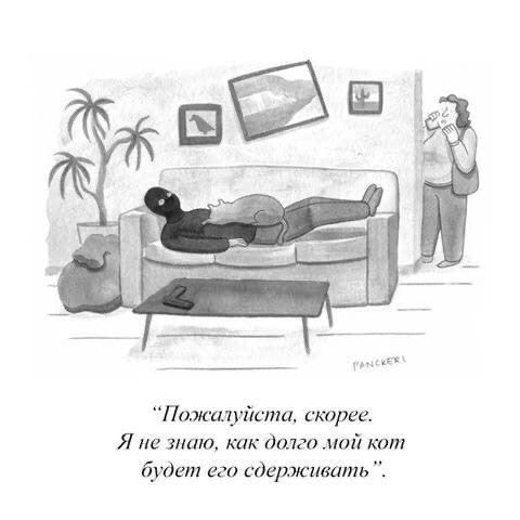 Так себе картинки 09.07.22