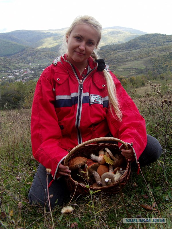 Поход за грибами