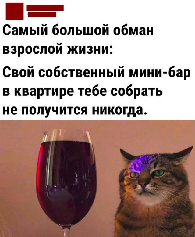 Картинки и мемы. Выходные близко...