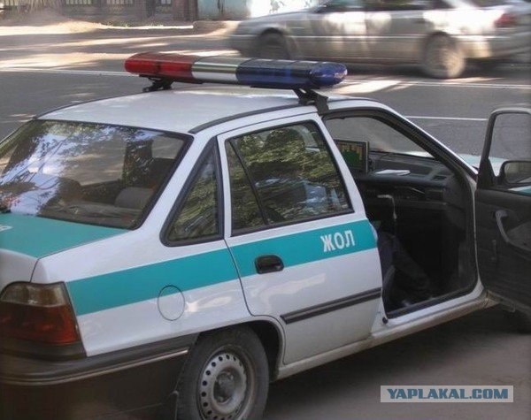 Приколы из Казахстана