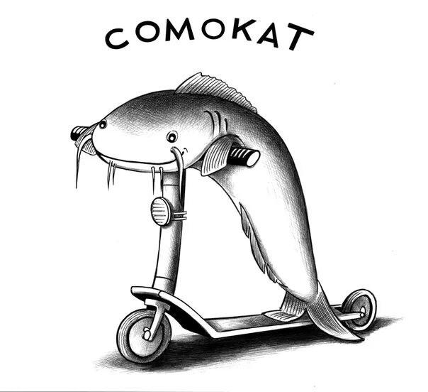 Мемы про самокаты