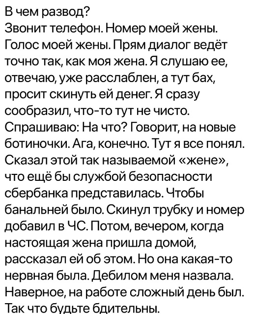 Весёлый полтишок 21.08.23
