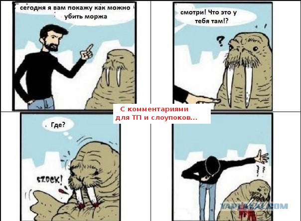 Шутник, блин...