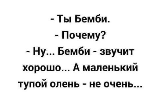 Нуштош 11.09.2023