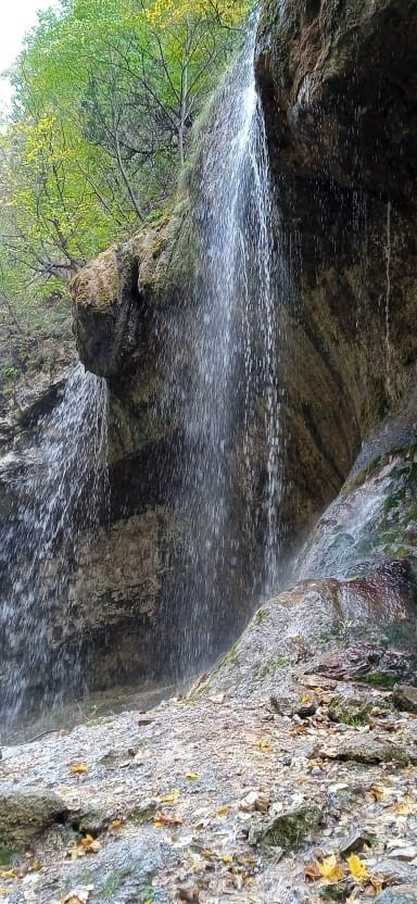 Краски осени