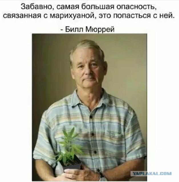 6 сыновей, 2 скандальных развода и любовница моложе на 30 лет: Биллу Мюррею - 73