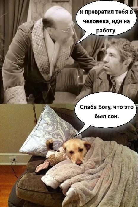 Нуштош 22.02.2024