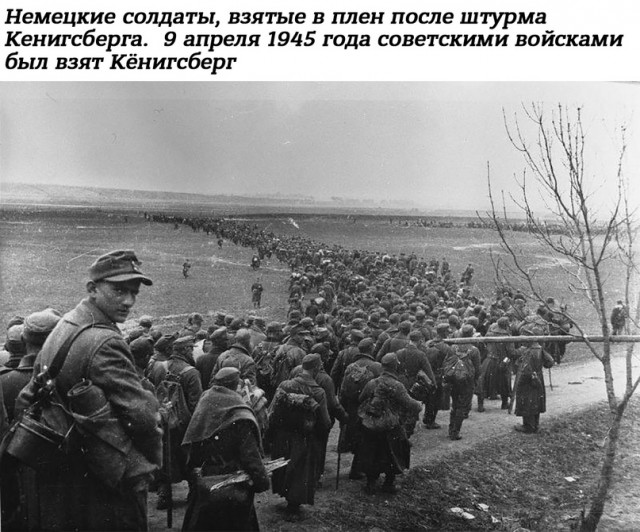 Небольшая подборка истрических фото (15.05)