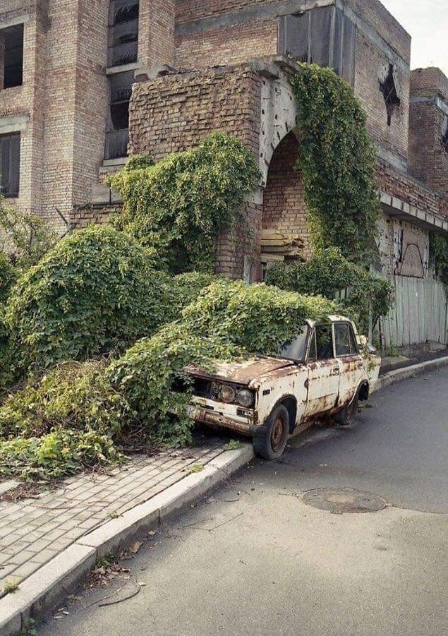 Прикольные и просто красивые картинки