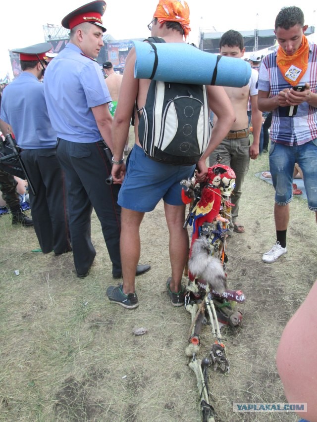 Фотоотчет с Рока над Волгой 2013