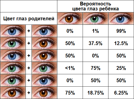 Про ДНК тест⁠⁠