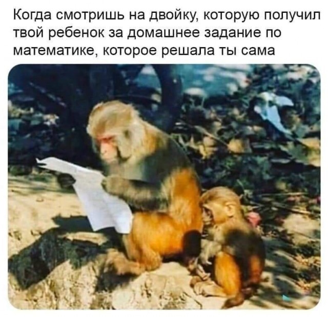 Завалялось тут случайно немного забавных картинок