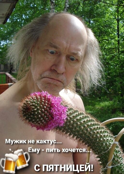 Прикольные и просто красивые картинки 22.08.2025