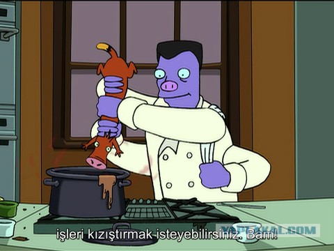 Шаурма. Уголок быстрого питания