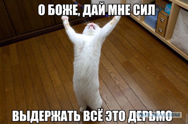 Лурье готовит заявление о взыскании с Долиной судебных расходов